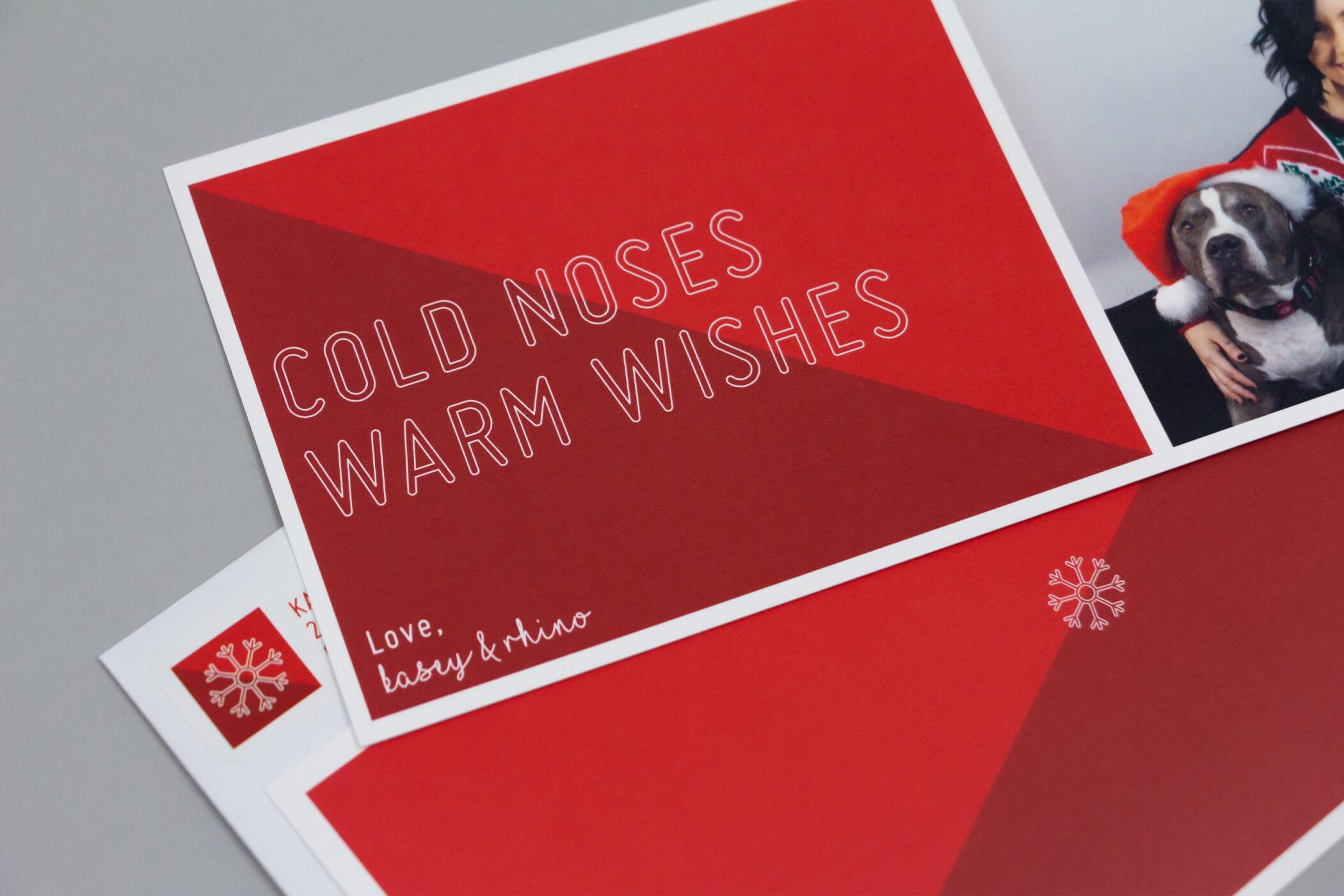 A howliday card that reads 'cold noses, warm wishes' with color blocking